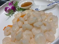 -席家花园(巨鹿花园店)