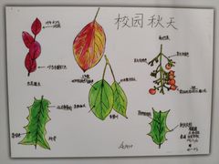 作品-上海昆虫博物馆