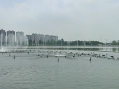 -映月湖中央公园