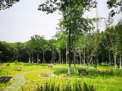 -沙家浜风景区