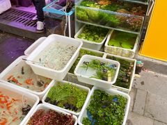 -青石桥花鸟鱼虫市场(叠翠城店)