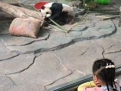 -泉州海丝野生动物世界