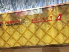 -上海浦东国际机场T1航站楼-P1停车场