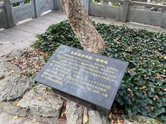 -善卷洞风景区