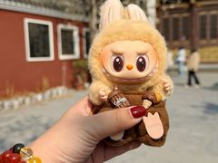 -长春观