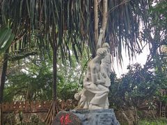 -瑞丽独树成林风景区