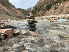 -伊帆食府·青海地方特色美食