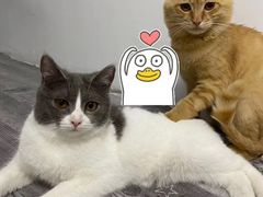 -猫头鹰照相馆(丰科万达店)