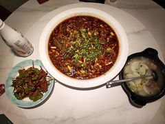 -新概念来凤鱼(璧山店)