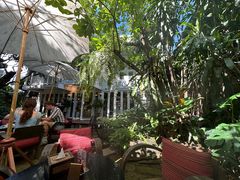 -Fern Forest Cafe