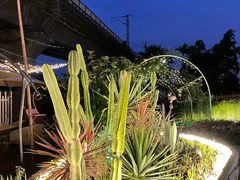 -云里小坐·小院里·团建·宴请·下午茶(三圣乡店)