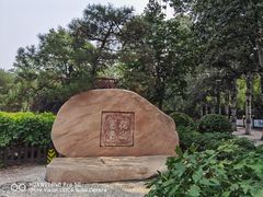 -莲花池公园