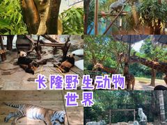 -广州长隆野生动物世界