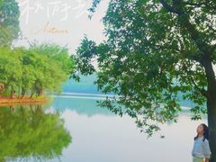 -三水森林公园