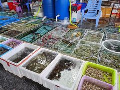 水产区-霞涌市场海鲜摆卖区