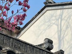 -巡塘古镇