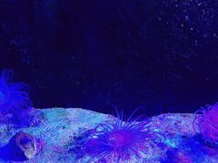 -嘉兴海底世界