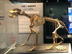 -北京周口店北京人遗址博物馆