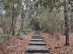 -采石矶景区