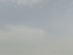 -秦始皇帝陵博物院-丽山园