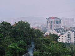 -福道