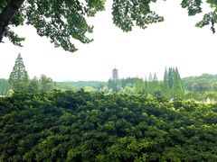 -宜兴龙背山森林公园