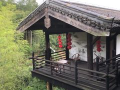 -大唐贡茶院