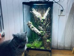 -Rabbit Cafe私房西餐甜点咖啡(栖霞路店)