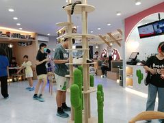 -喵园·猫主题咖啡厅·撸猫·猫咖(国贸店)