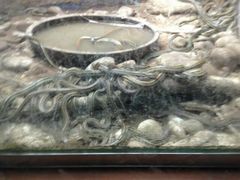 android_upload_pic-石家庄市动物园