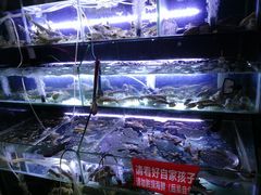 水产区-麻屋手抓海鲜(防城港总店)