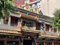 -金塔寺