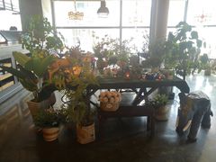 -LYFATTI 莱芙缇(赣水路店)