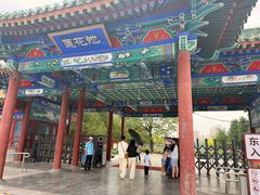 -莲花池公园