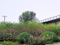 -永定河休闲森林公园