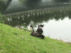 -中国移动南方基地