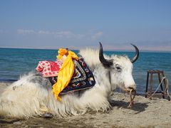 -青海湖国家重点风景名胜区