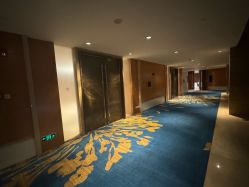 -上海浦东喜来登由由大酒店·宴会厅