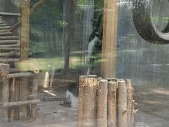 -合肥野生动物园