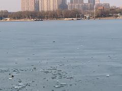 -灞河西岸滨河公园
