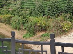 -九龙潭景区
