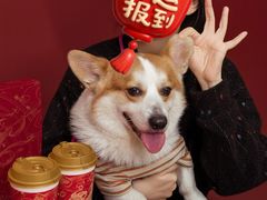 -上海长风大悦城