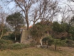 -戏马台景区