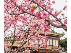 -宝墨园景区