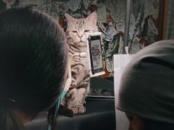 -幸运7纹身刺青Lucky7tattoo