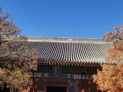 -香山公园