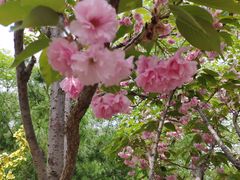 -大兴滨河森林公园