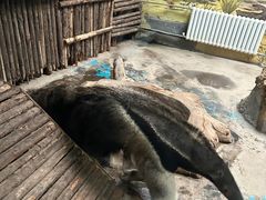 -济南野生动物世界