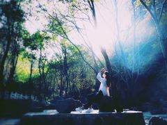 -白草畔自然风景区