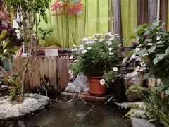 -吃货私房菜(丽江束河古镇店)